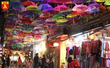 Con đường ô Vạn Phúc, điểm đến không thể bỏ qua của giới trẻ Hà Nội